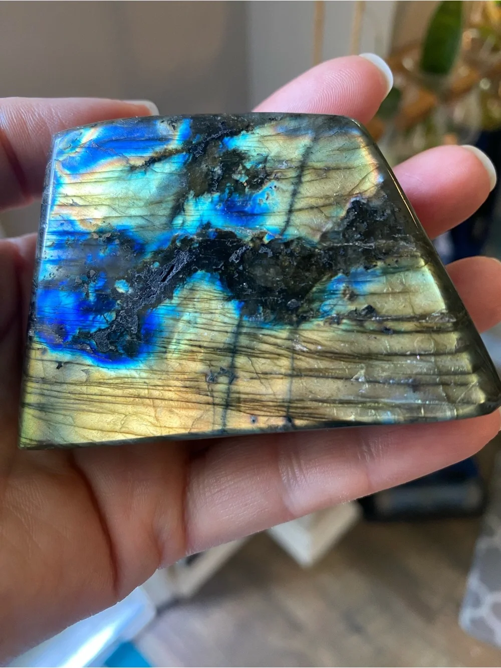 ✨ Golden Sunset Labradorite Freeform ✨